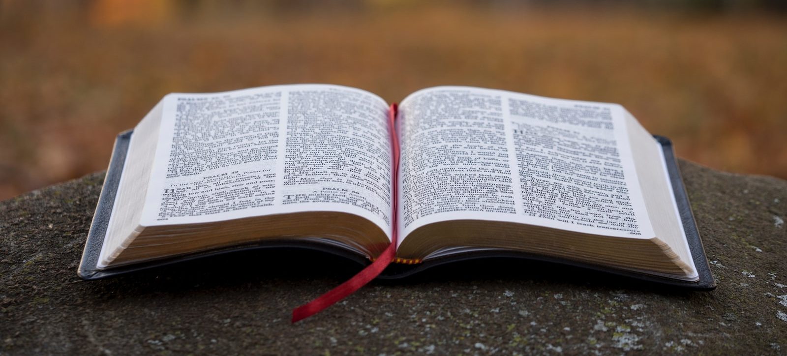 bible page on gray concrete surface